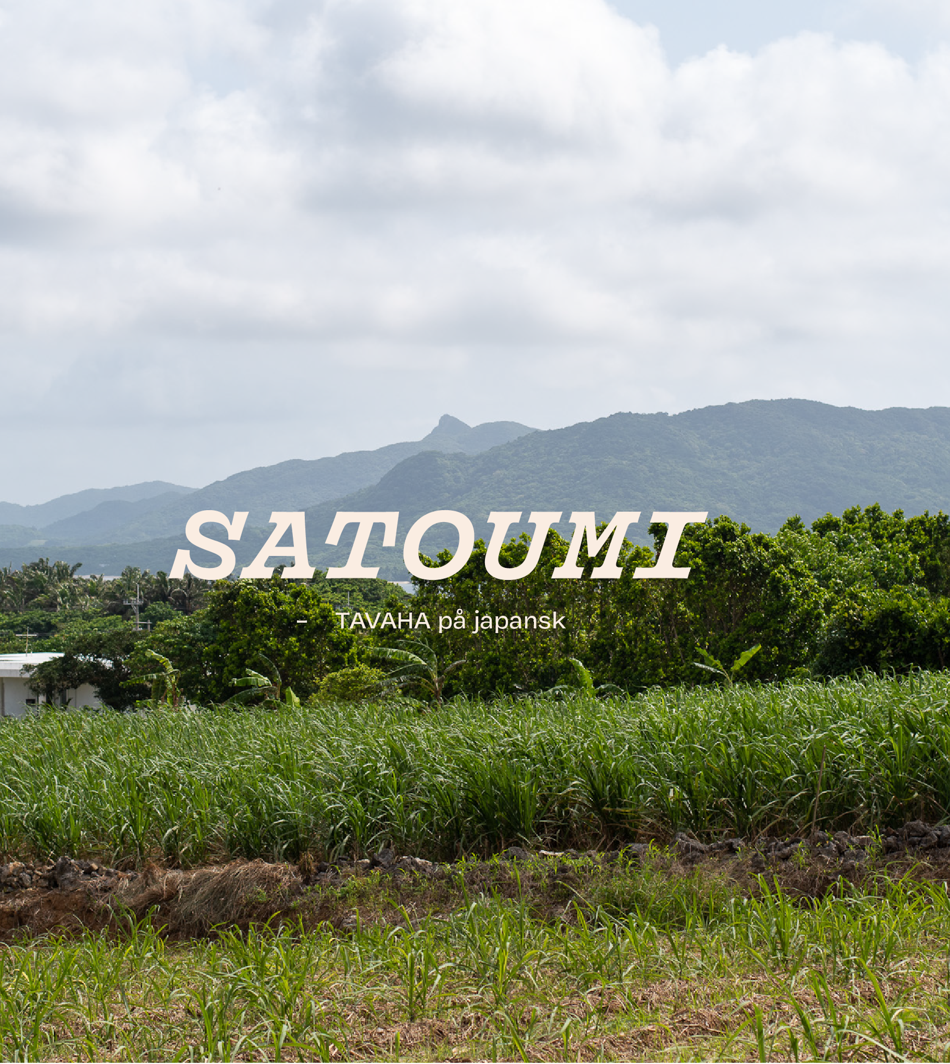 NOW satoumi header medium